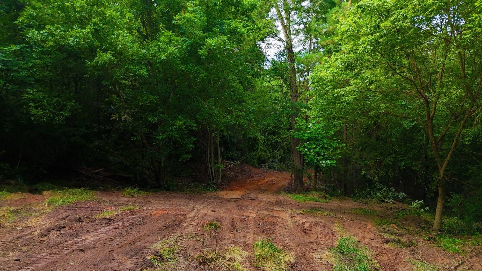 Land for Sale in Laurens County, SC (13 of 27)
