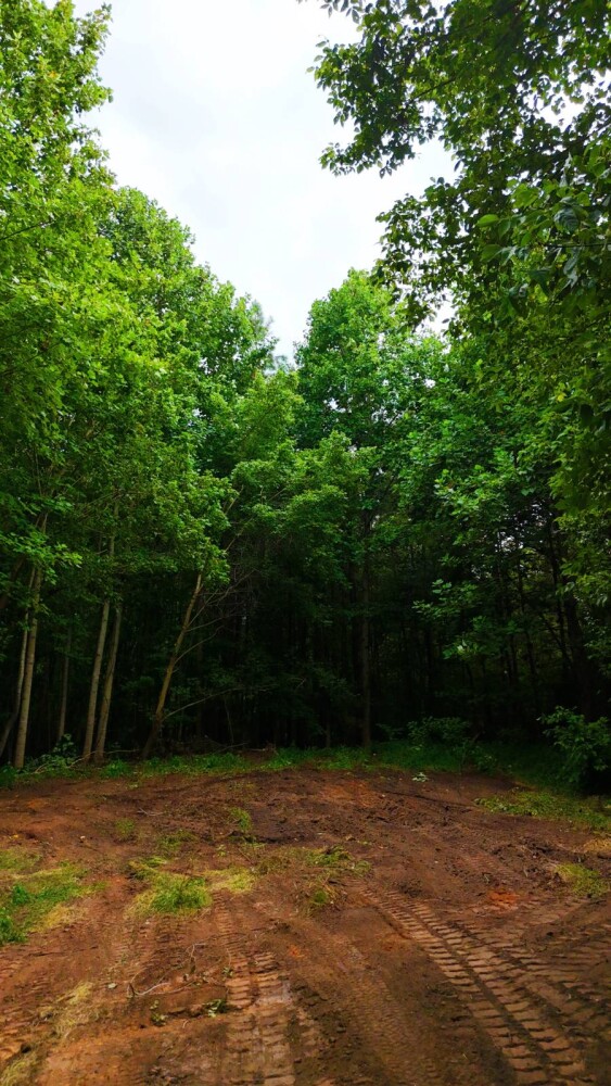 Land for Sale in Laurens County, SC (14 of 27)