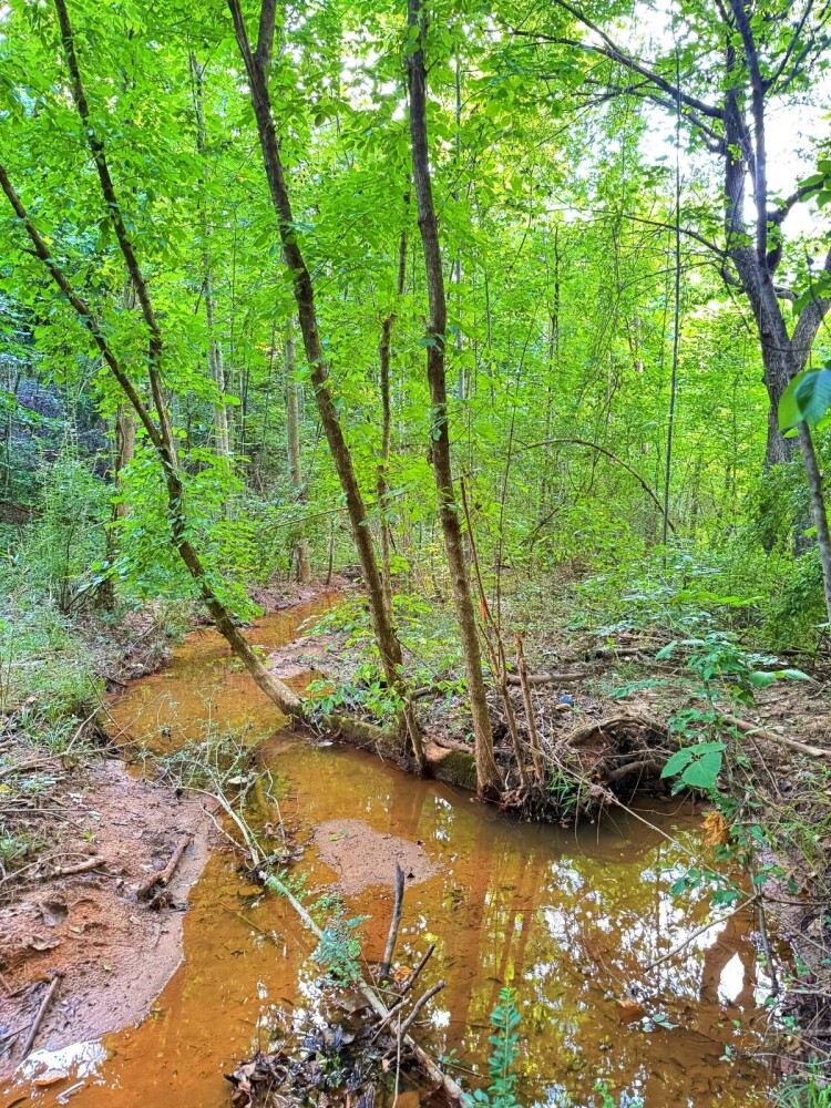Land for Sale in Laurens County, SC (16 of 27)