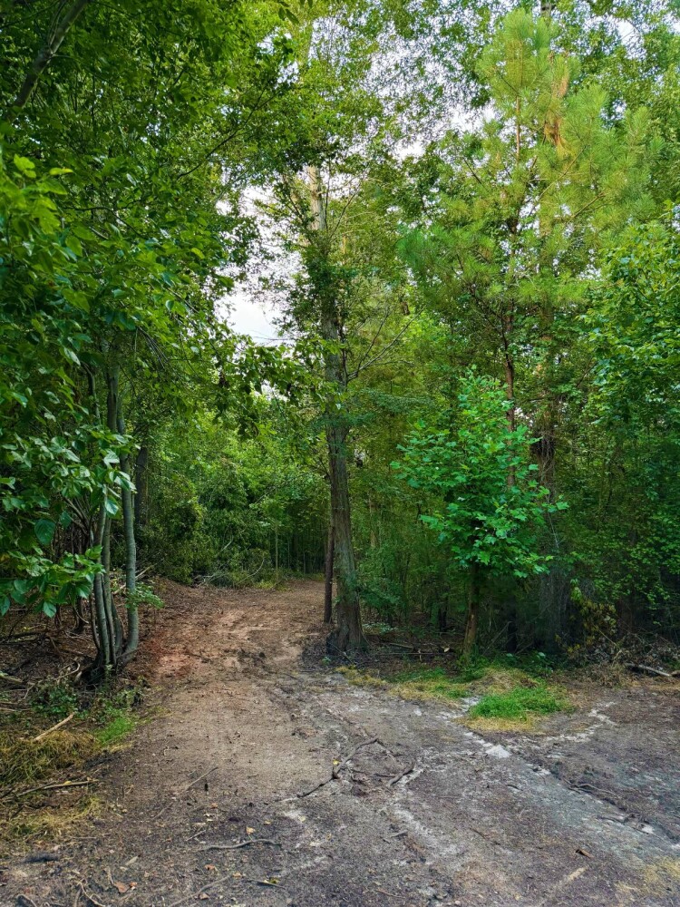 Land for Sale in Laurens County, SC (18 of 27)