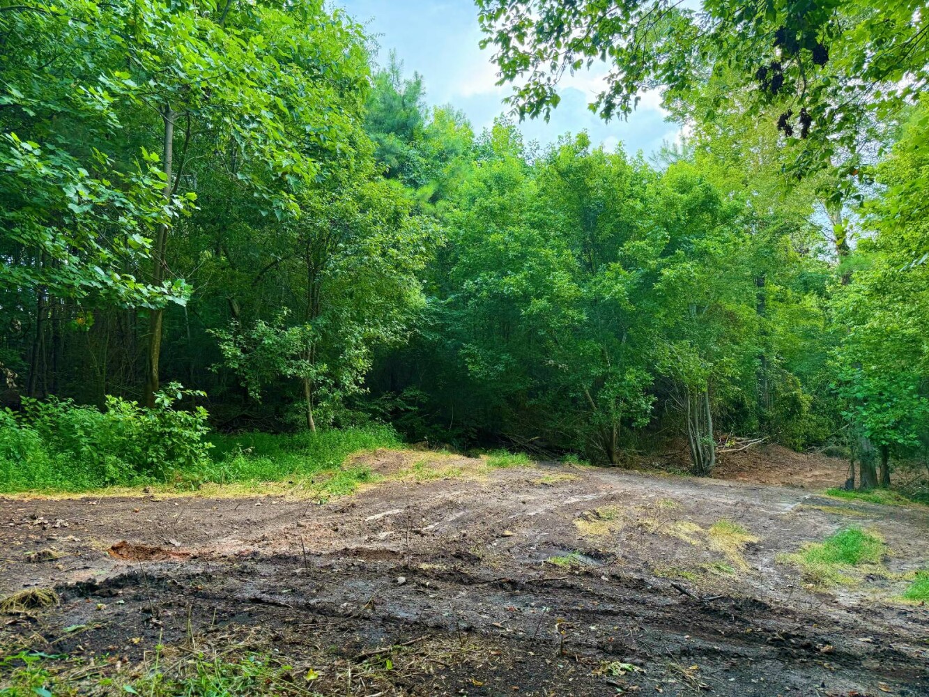 Land for Sale in Laurens County, SC (19 of 27)