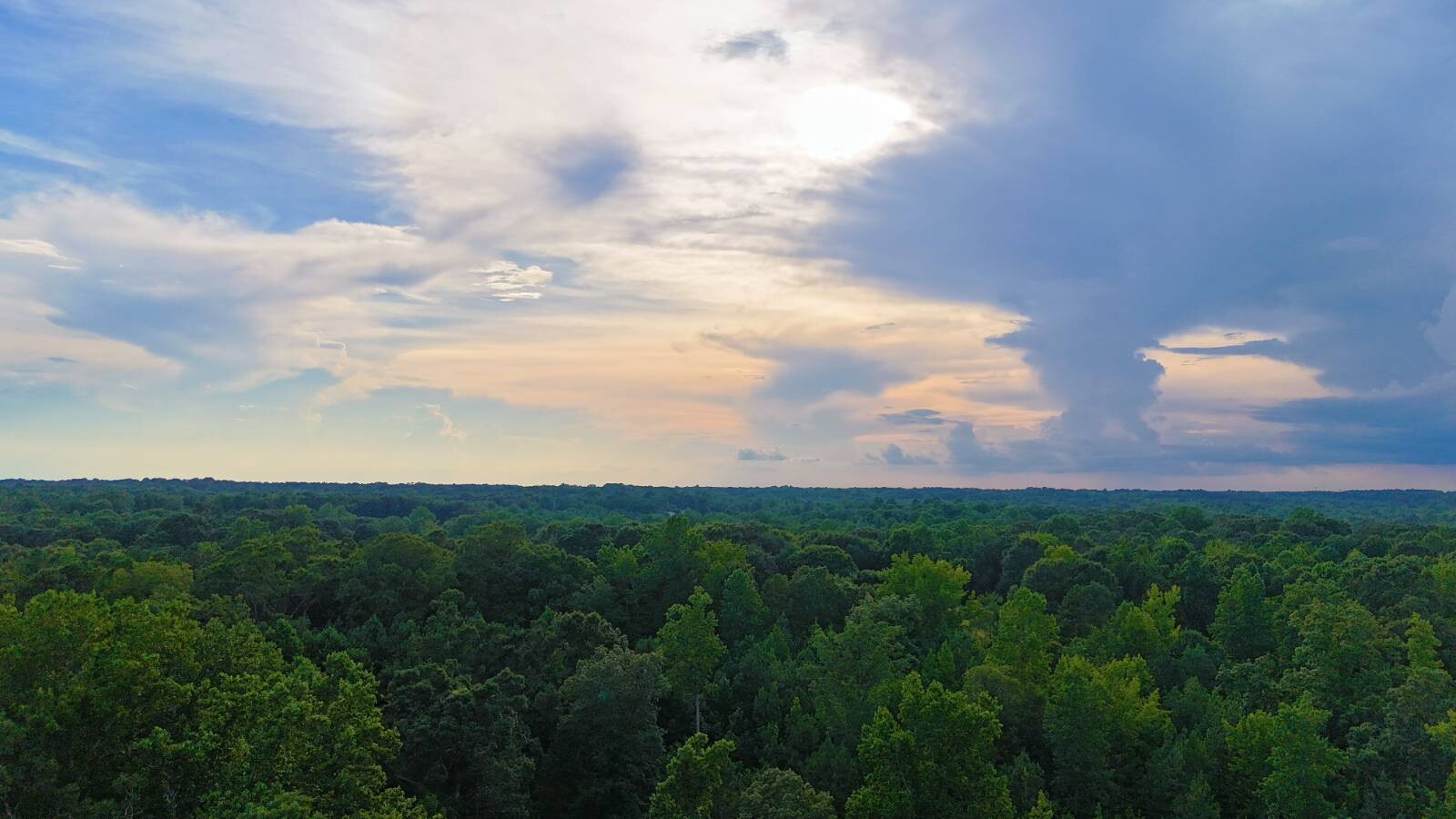 Land for Sale in Laurens County, SC (21 of 27)