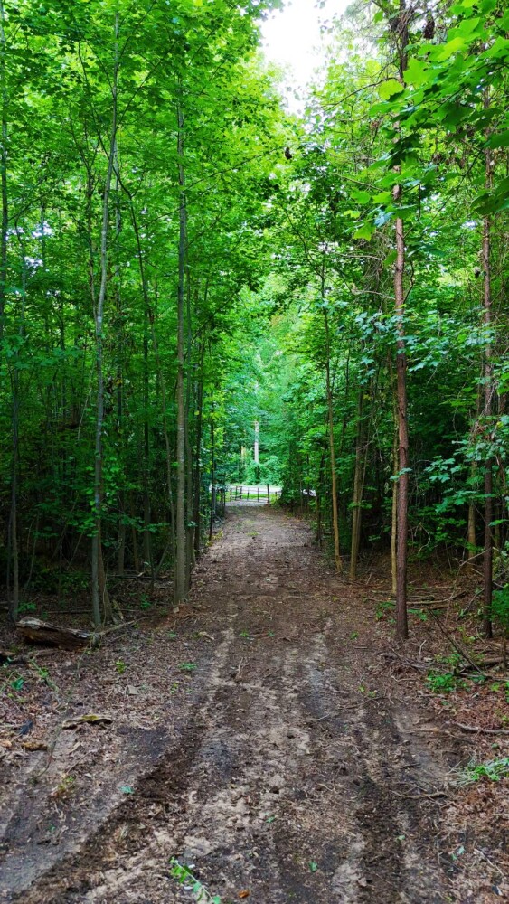 Land for Sale in Laurens County, SC (23 of 27)