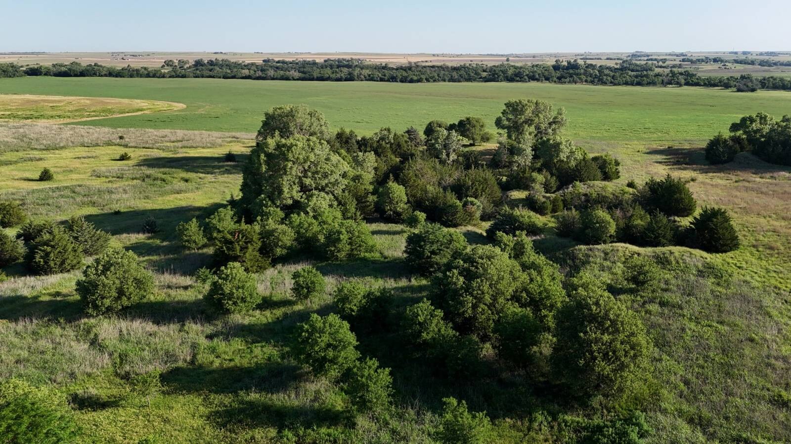 Land for Sale in Russell County, KS (36 of 60)