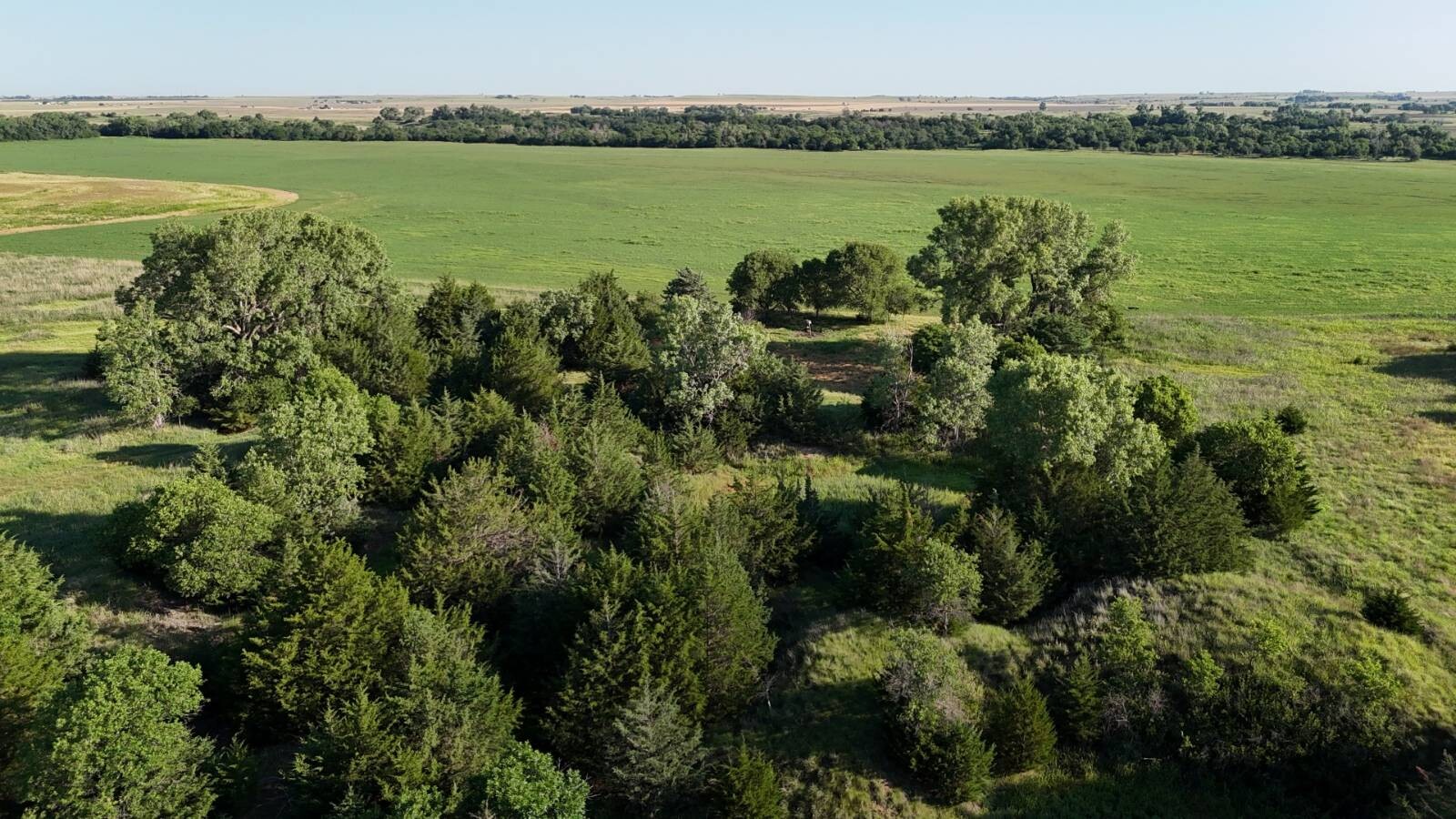 Land for Sale in Russell County, KS (37 of 60)