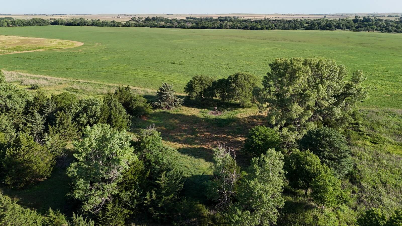 Land for Sale in Russell County, KS (38 of 60)
