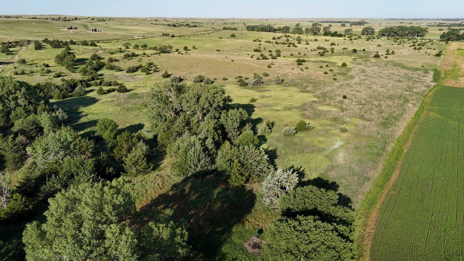 Land for Sale in Russell County, KS (39 of 60)
