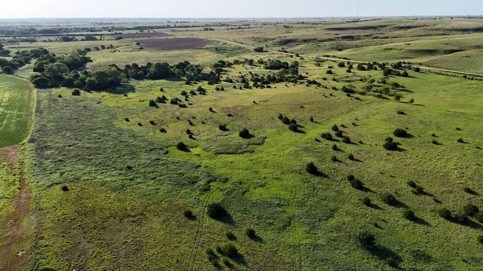 Land for Sale in Russell County, KS (46 of 60)