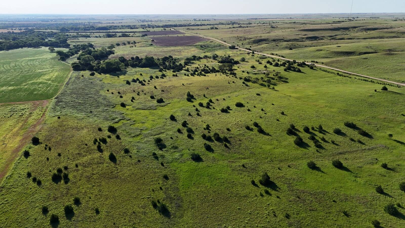 Land for Sale in Russell County, KS (47 of 60)