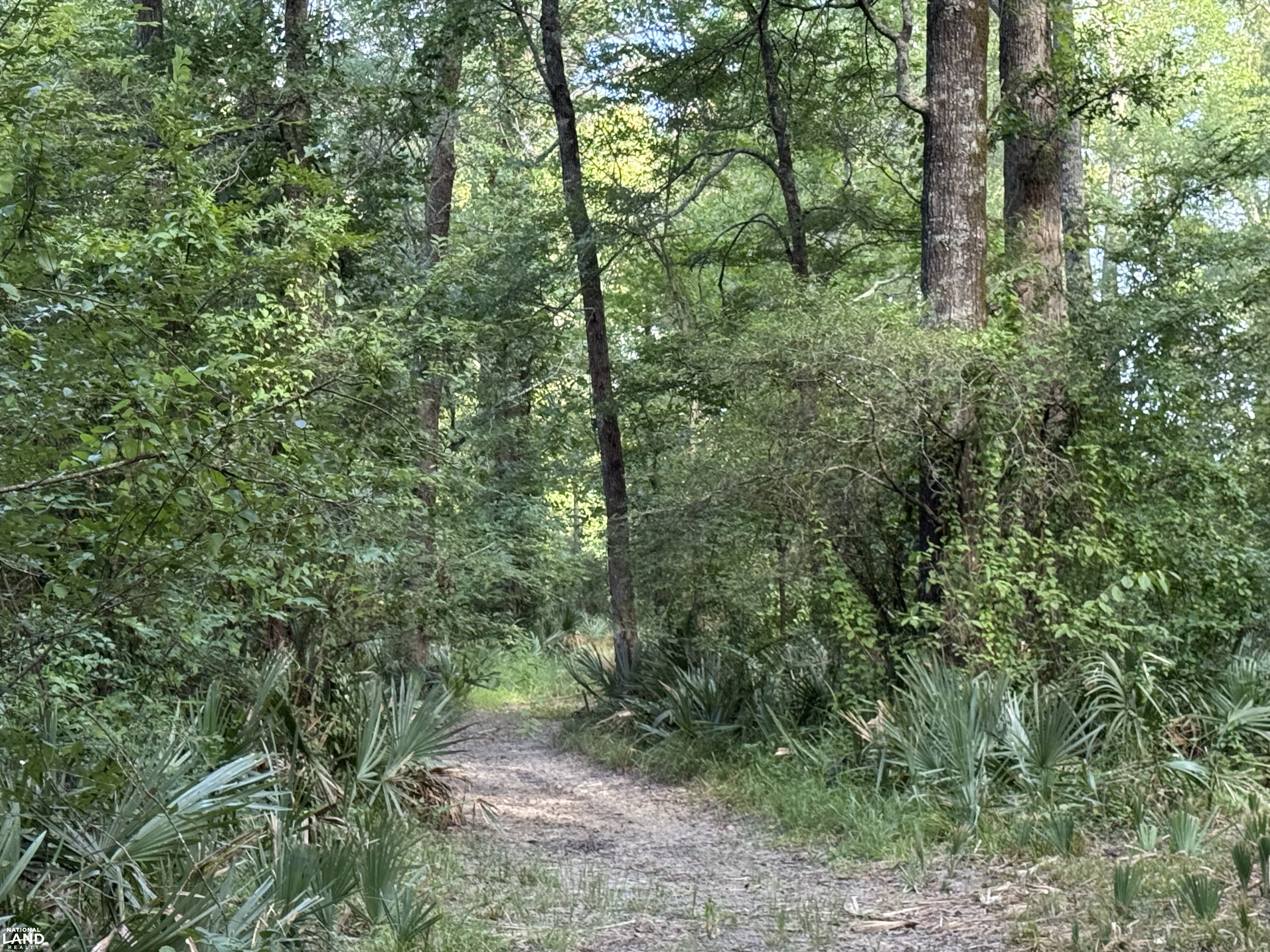 Trails for access (4 of 15)