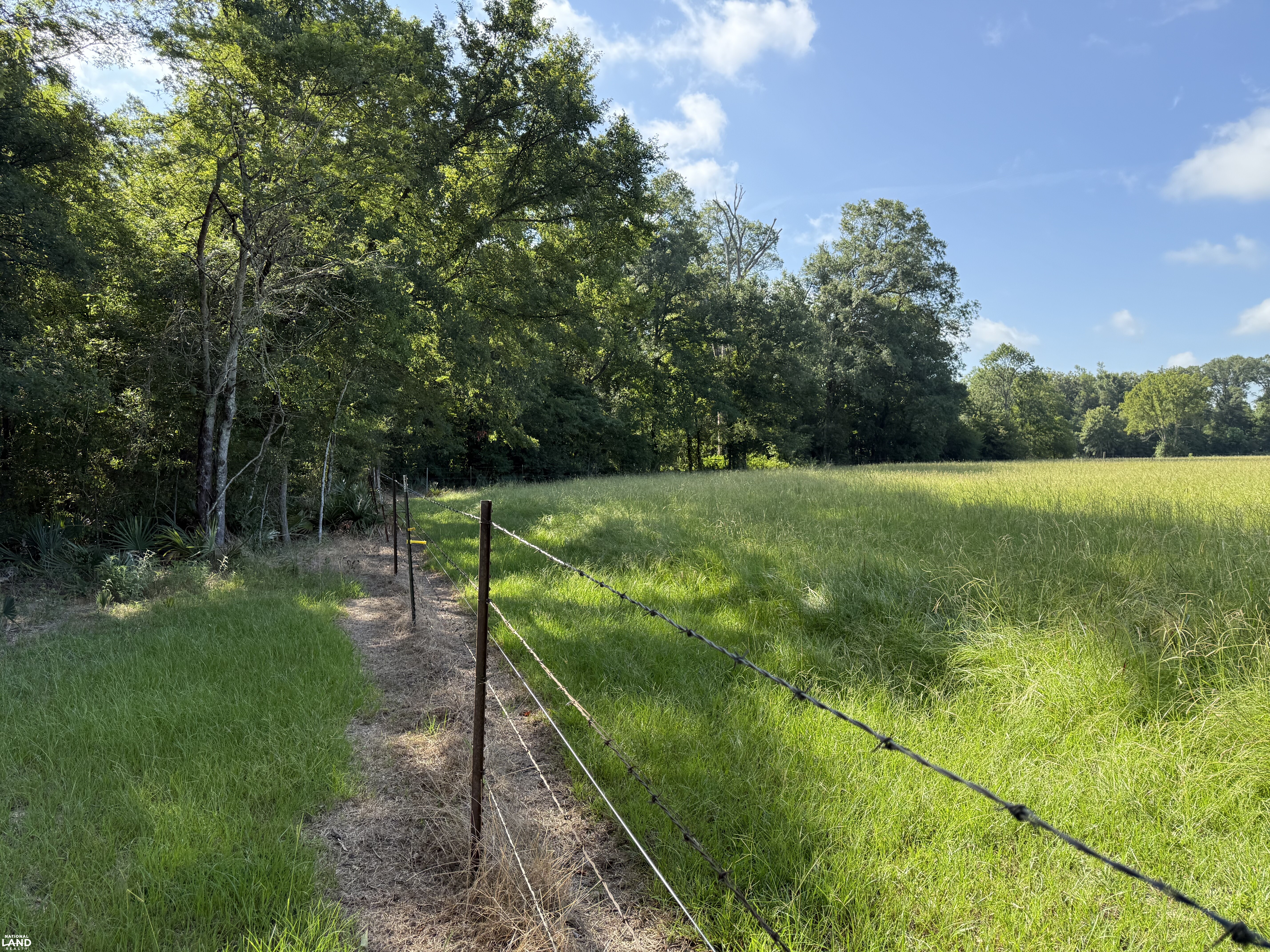 West side of pasture (5 of 15)