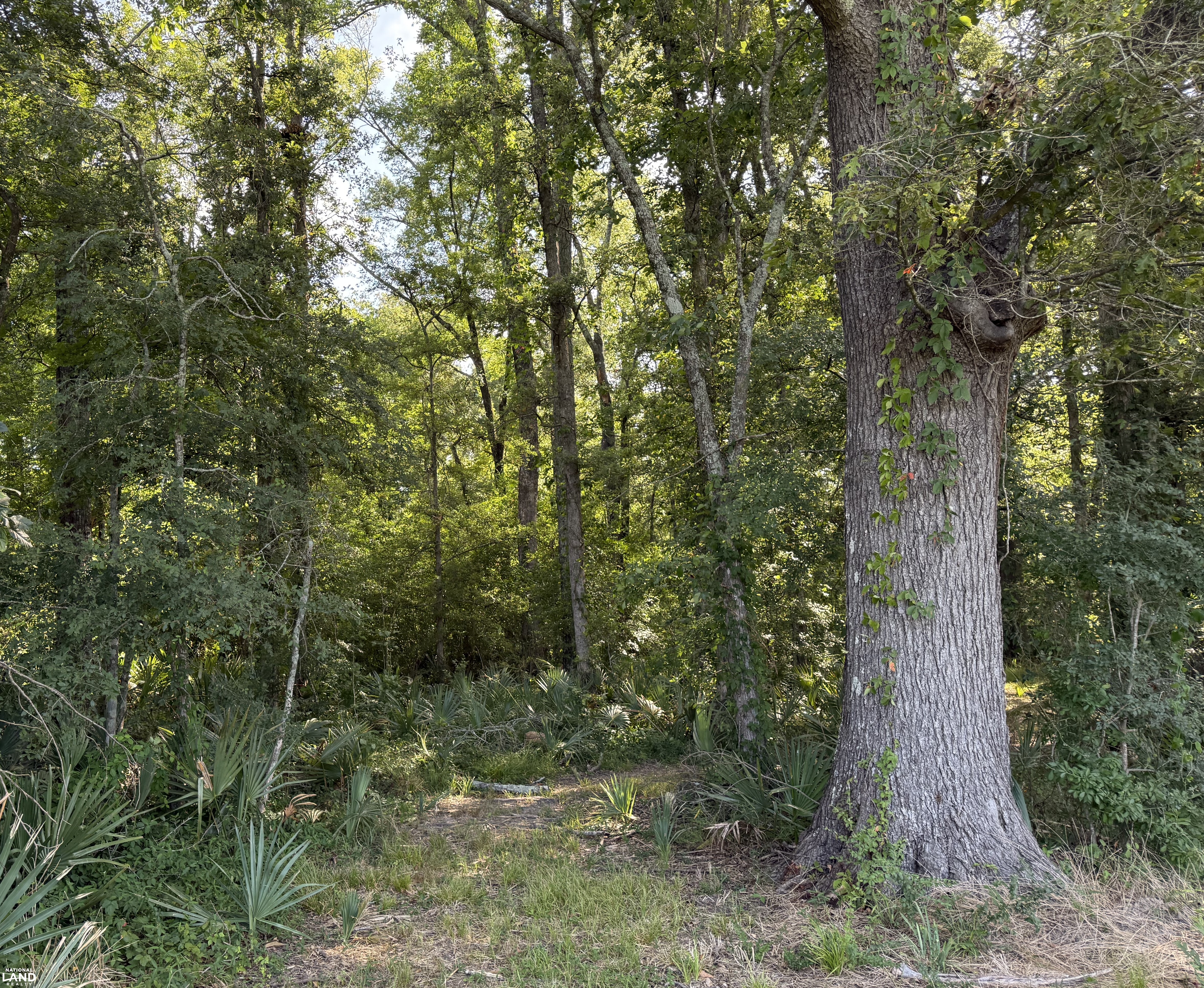 Great wildlife habitat (7 of 15)