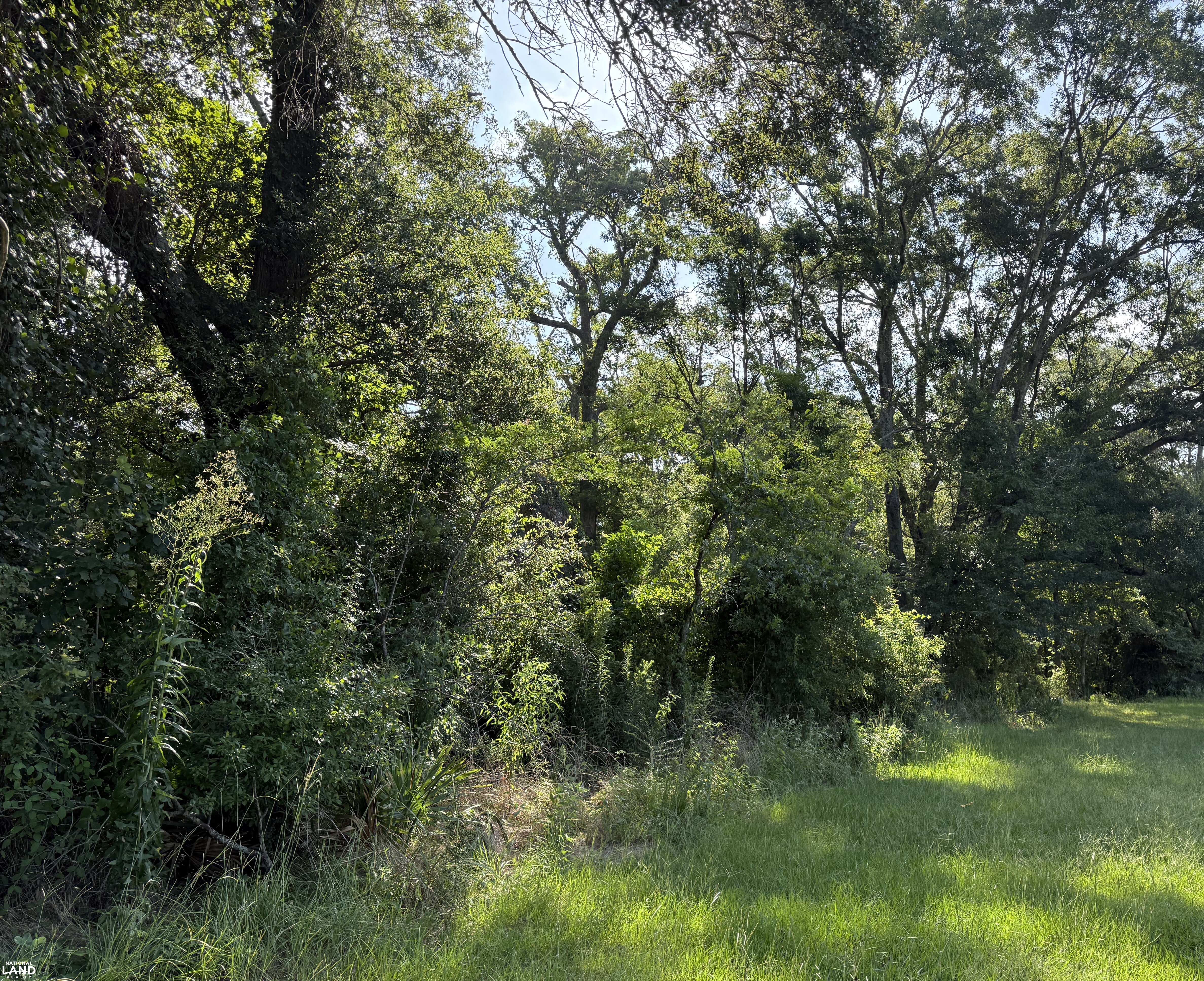 Nice 22 acres Woods and Fenced Pasture Convenient To META Site in Richland Parish, LA (8 of 15)