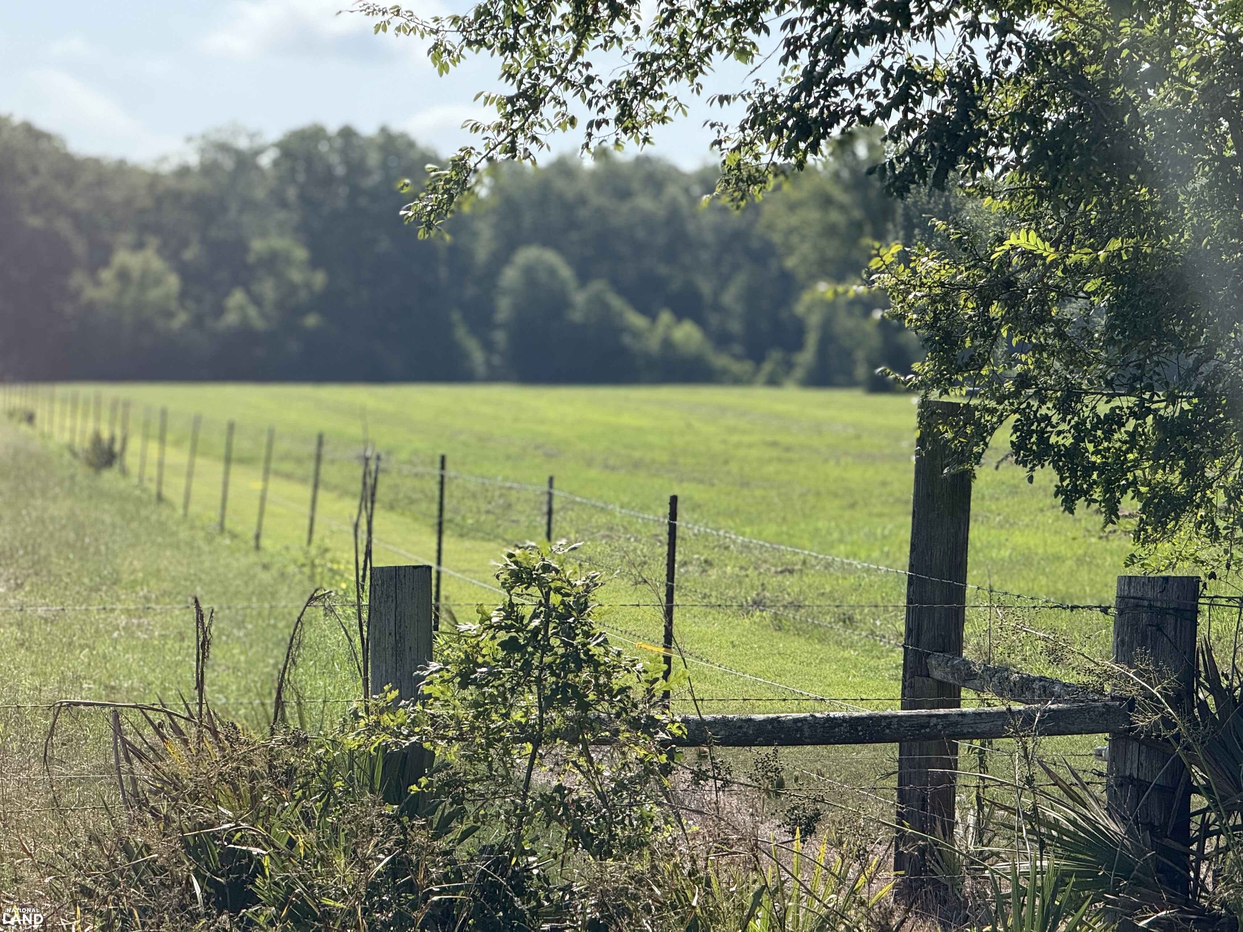 SW corner of 20 Acres (15 of 15)