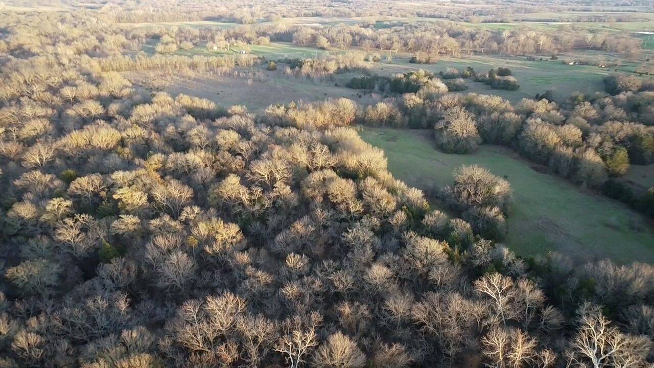 Land for Sale in Bryan County, OK (5 of 59)