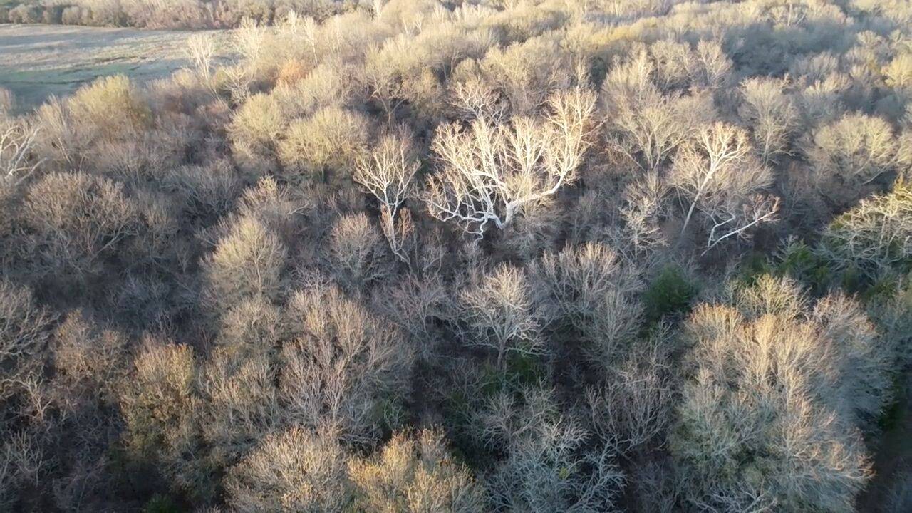 Land for Sale in Bryan County, OK (6 of 59)