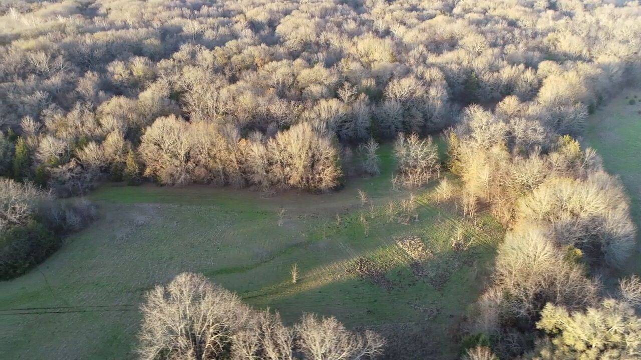 Land for Sale in Bryan County, OK (13 of 59)