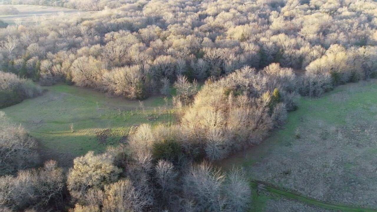 Land for Sale in Bryan County, OK (14 of 59)
