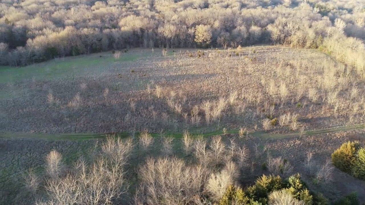 Land for Sale in Bryan County, OK (15 of 59)