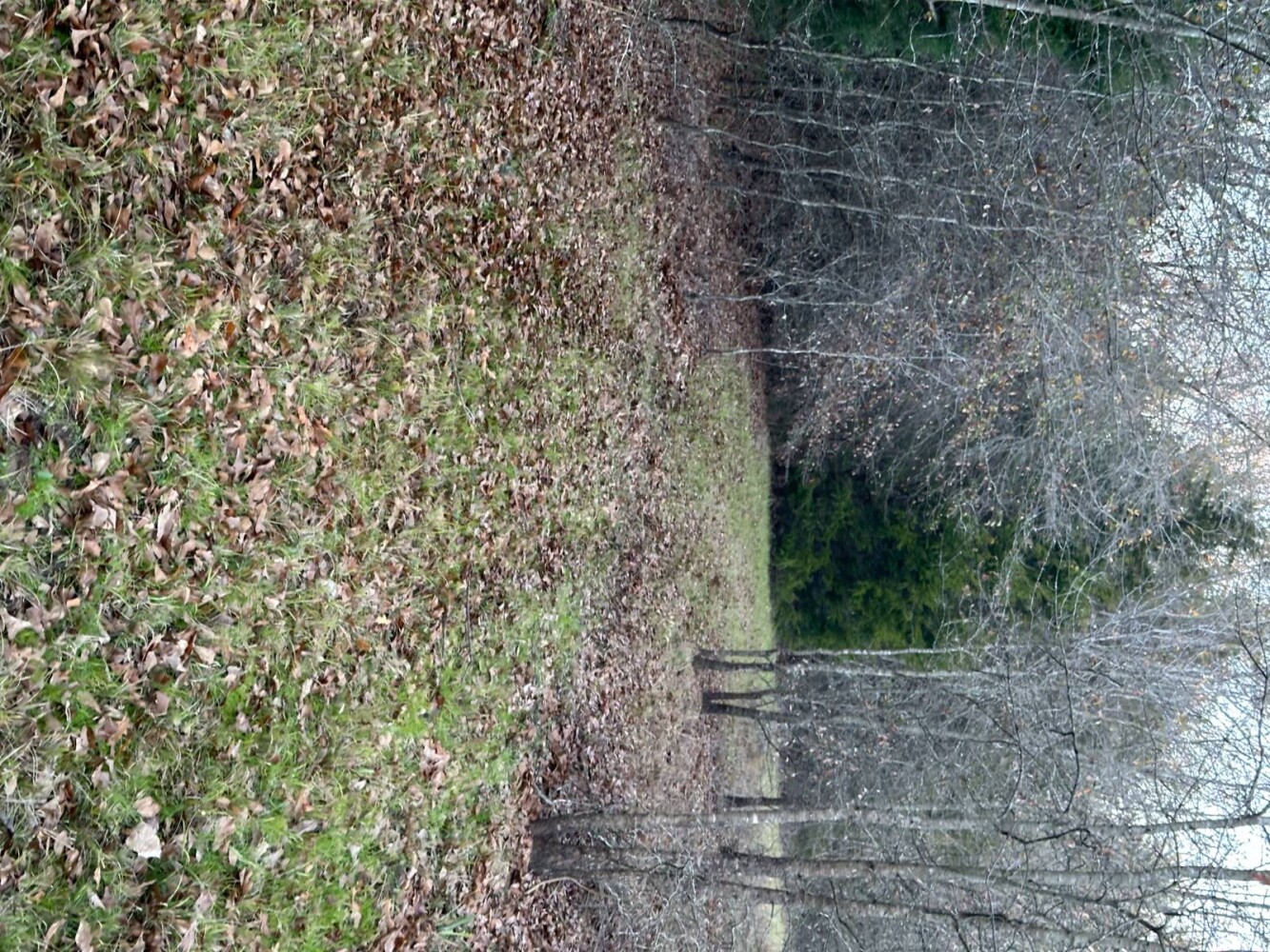 Land for Sale in Bryan County, OK (24 of 59)