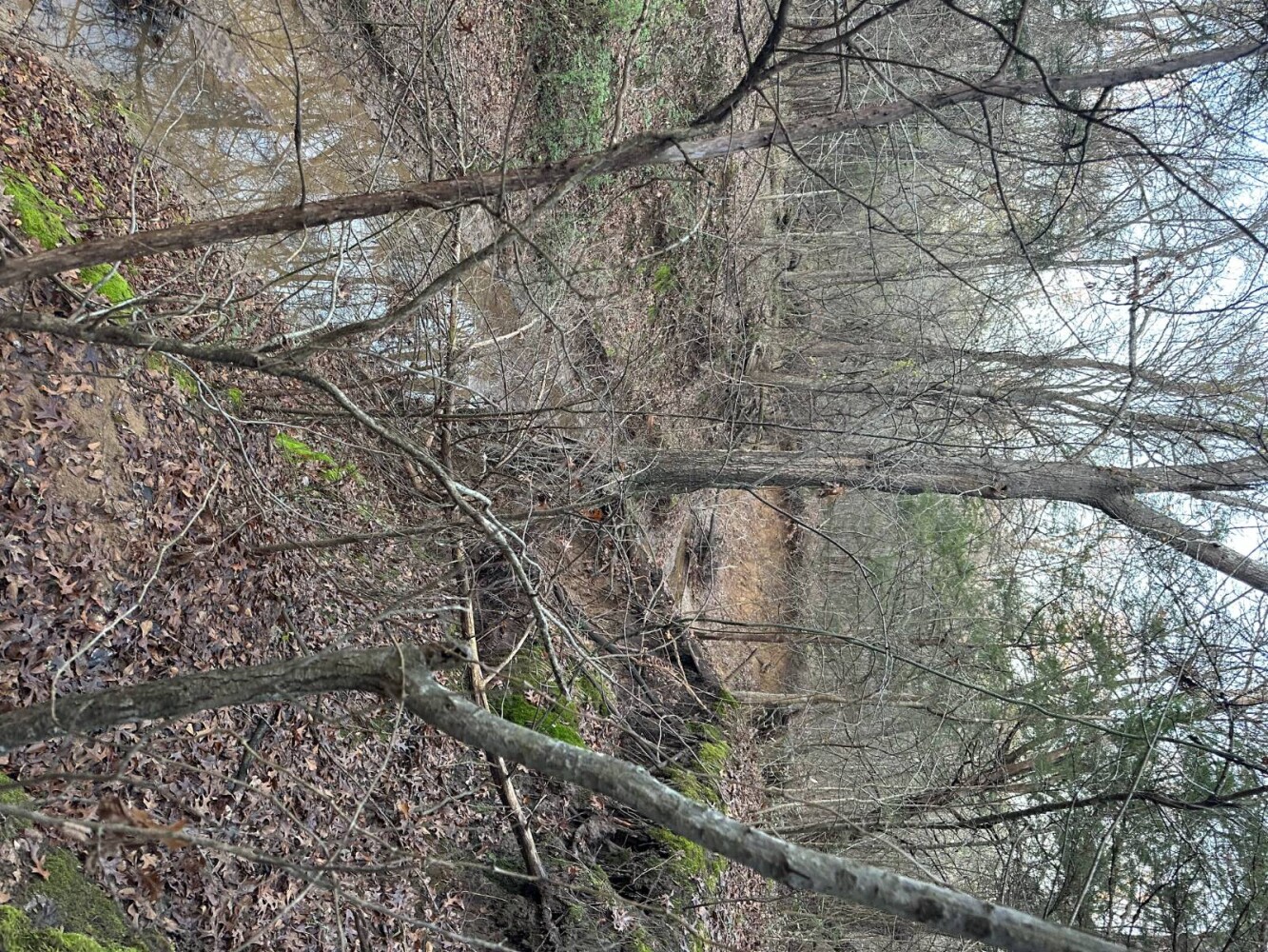 Land for Sale in Bryan County, OK (26 of 59)