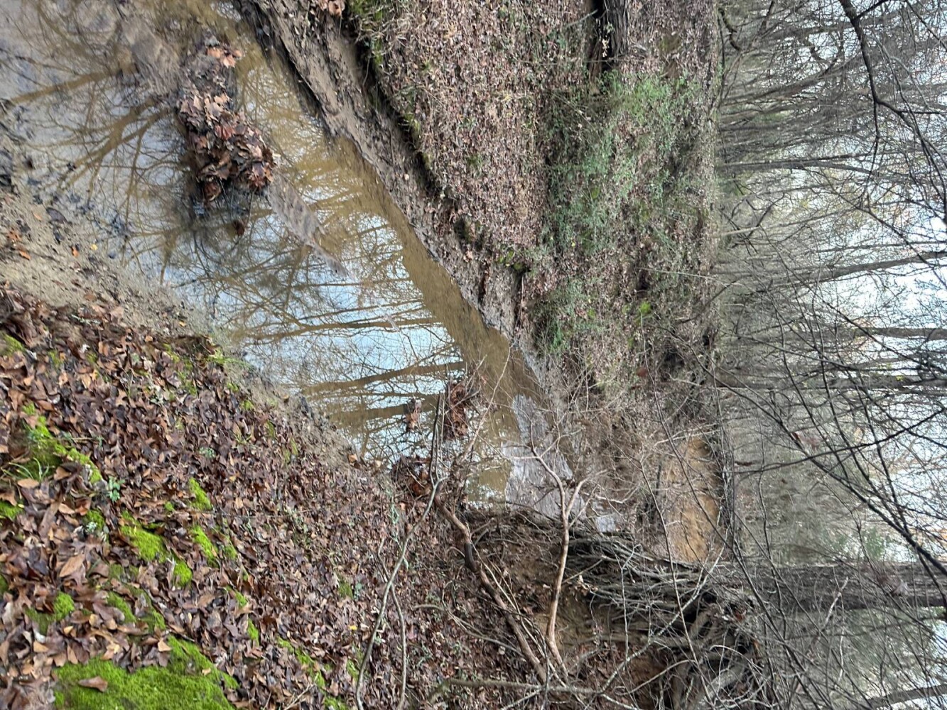 Land for Sale in Bryan County, OK (27 of 59)