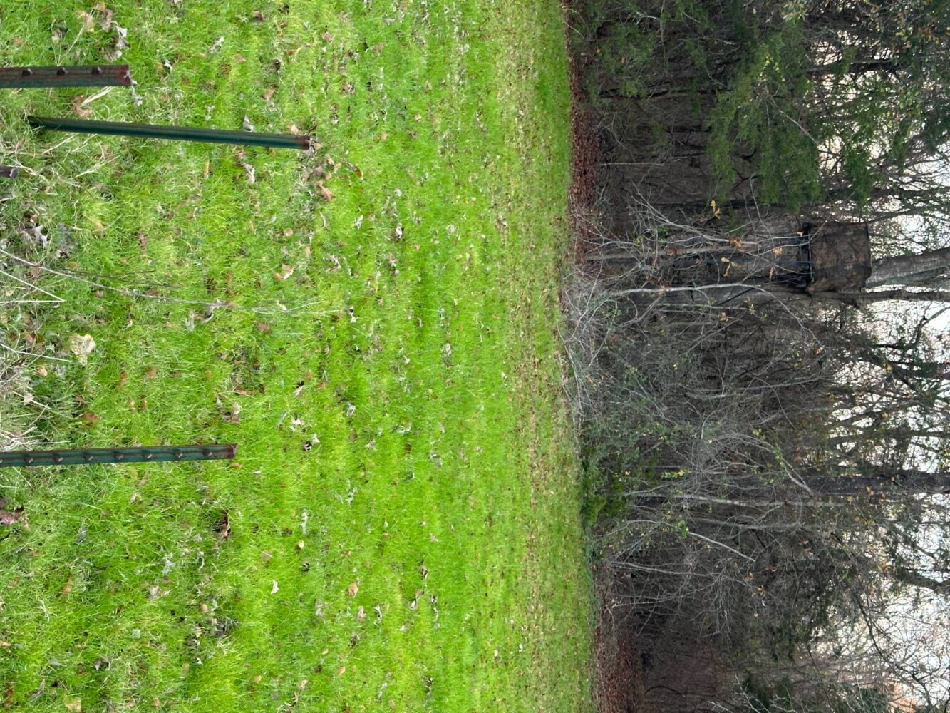 Land for Sale in Bryan County, OK (29 of 59)