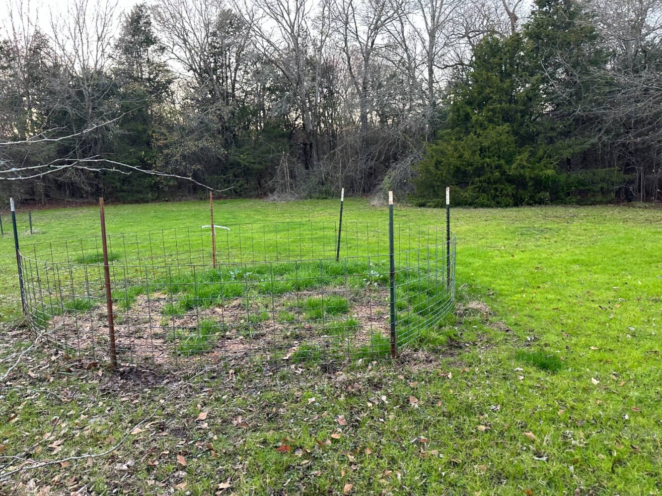 Land for Sale in Bryan County, OK (36 of 59)