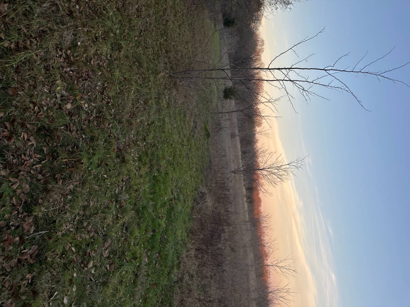 Land for Sale in Bryan County, OK (38 of 59)