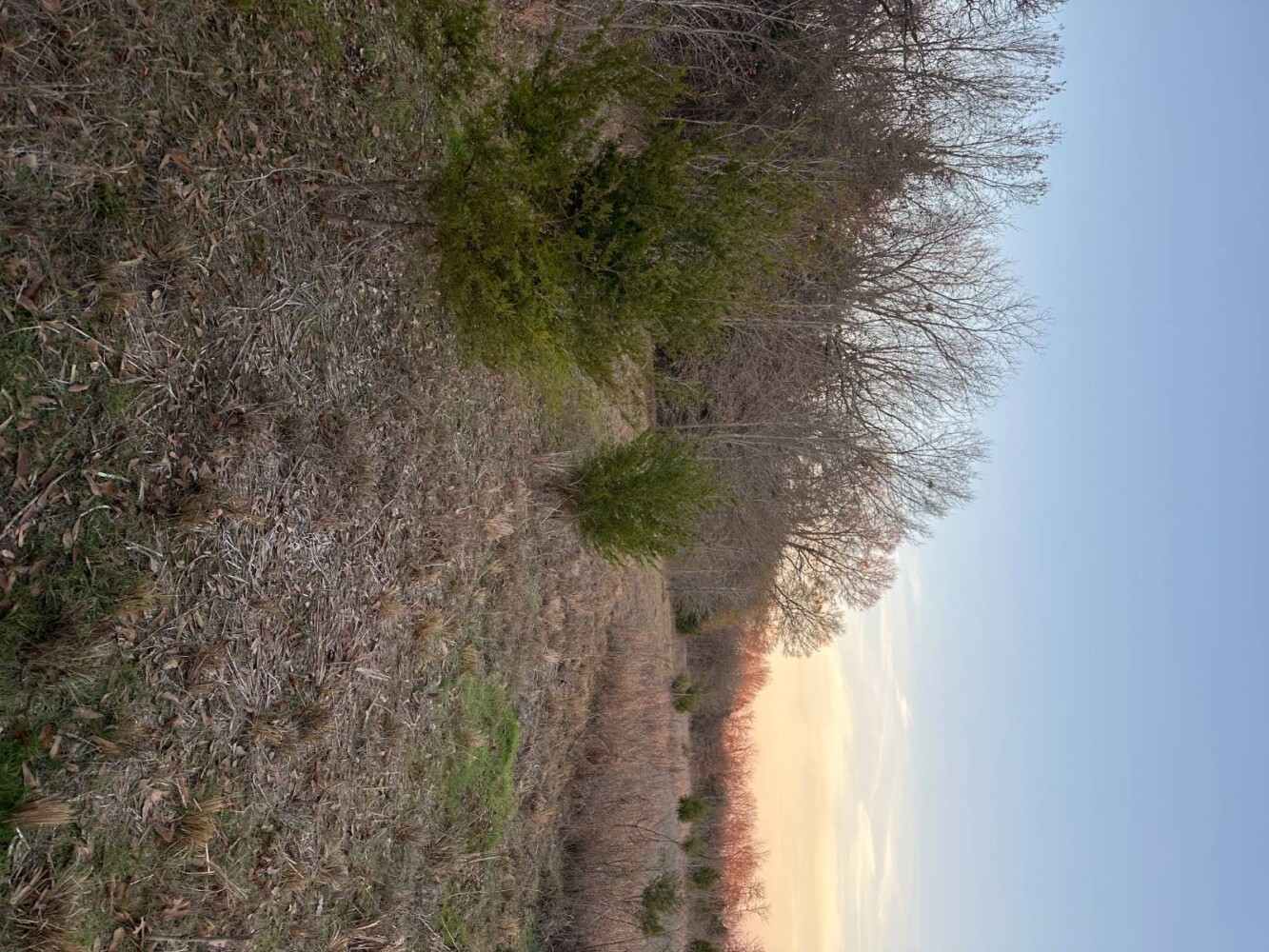 Land for Sale in Bryan County, OK (39 of 59)