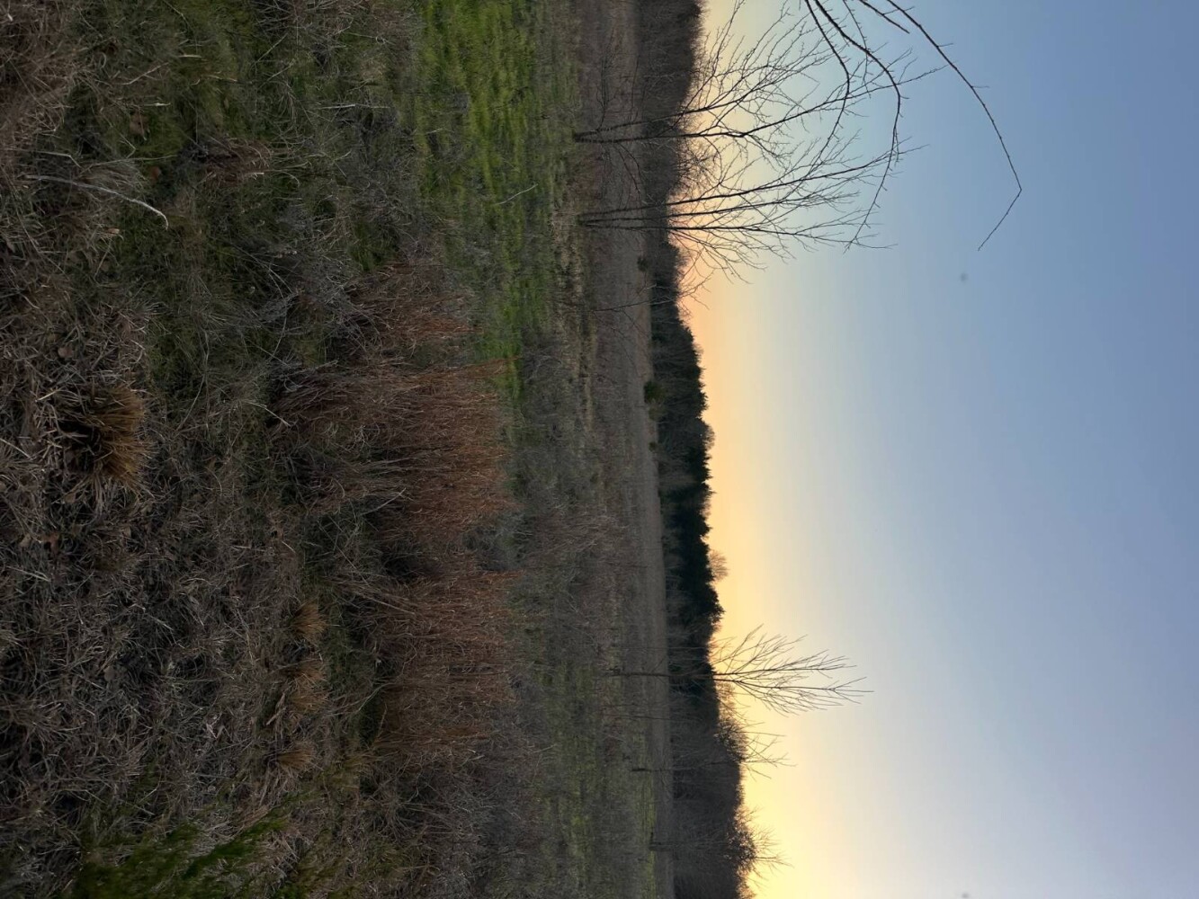 Land for Sale in Bryan County, OK (40 of 59)