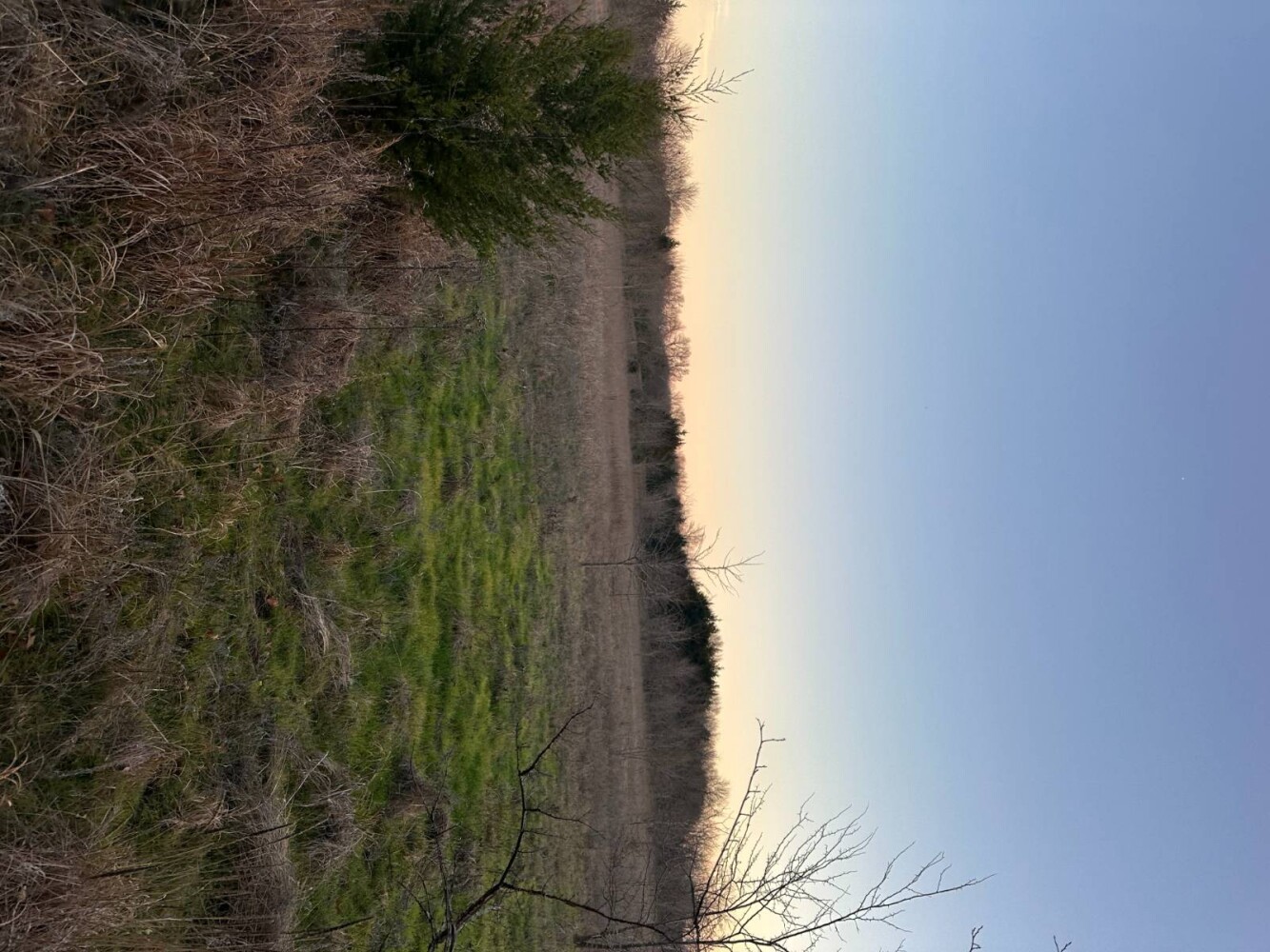 Land for Sale in Bryan County, OK (41 of 59)