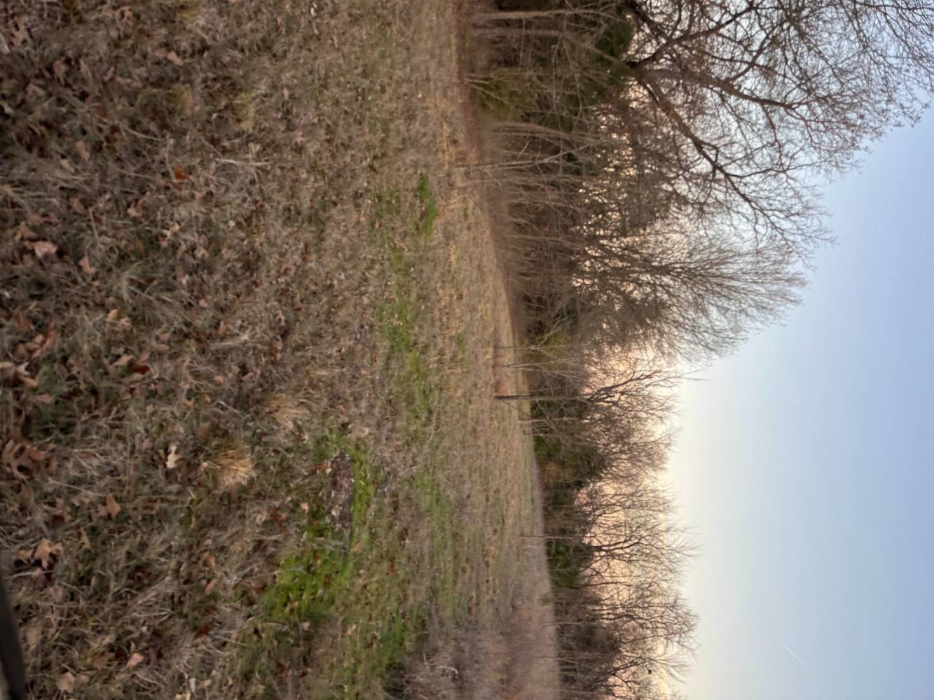 Land for Sale in Bryan County, OK (44 of 59)