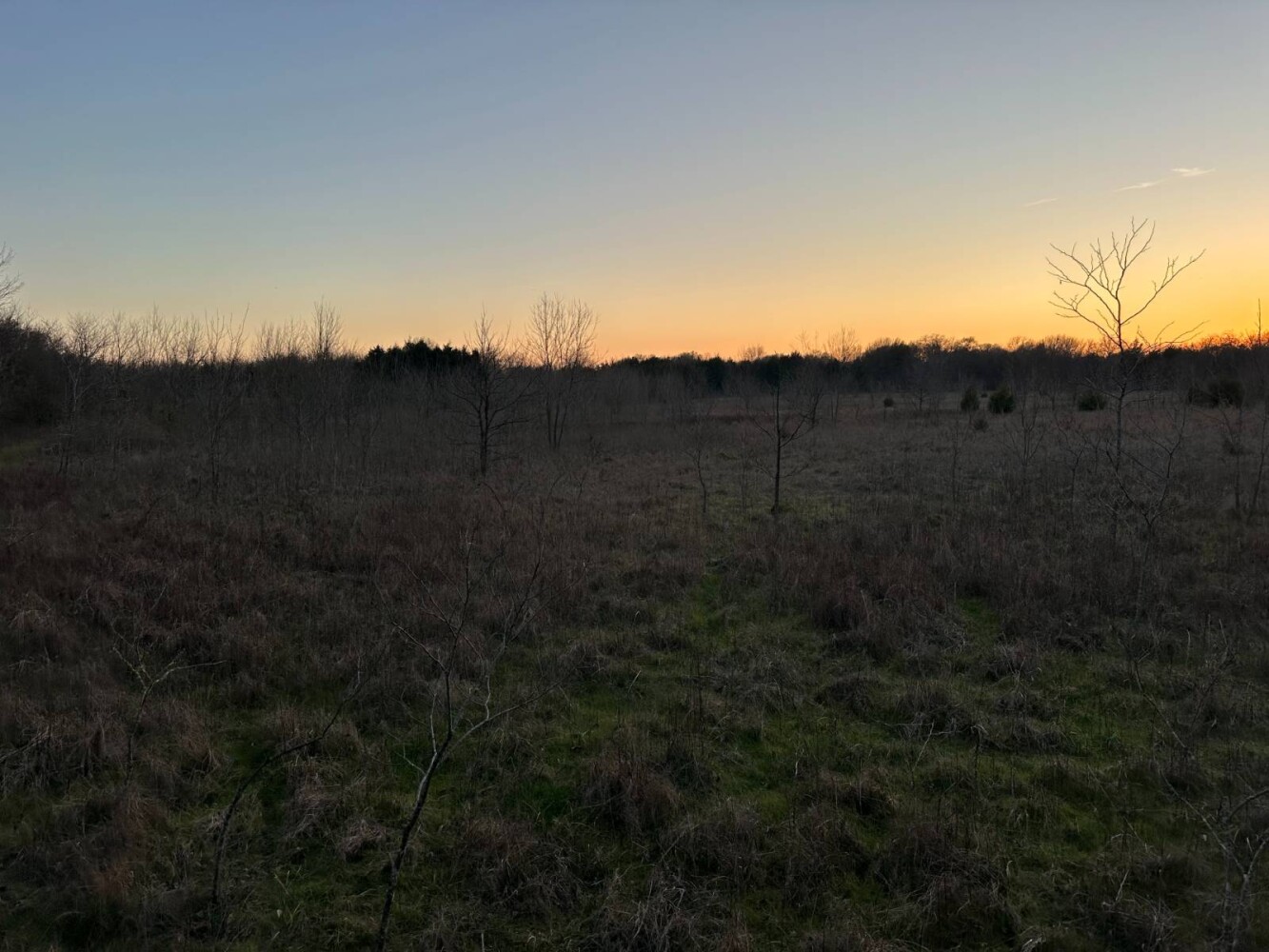 Land for Sale in Bryan County, OK (45 of 59)