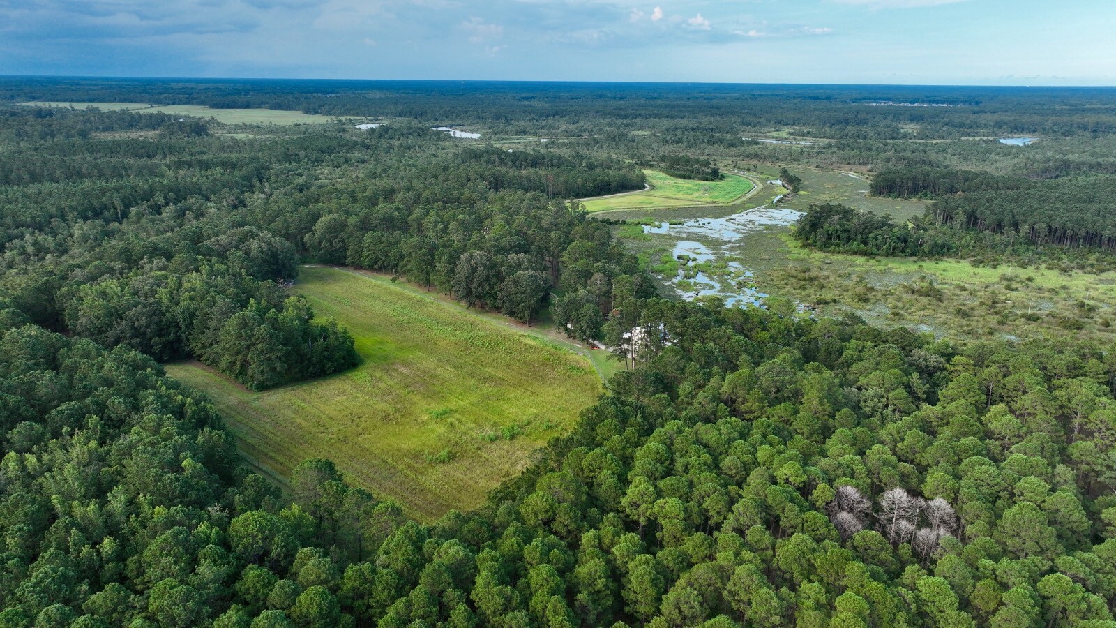 Land for Sale in Jasper County, SC (4 of 74)