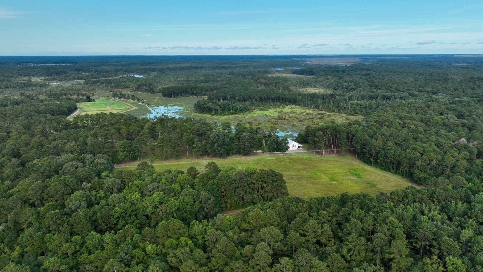 Land for Sale in Jasper County, SC (5 of 74)