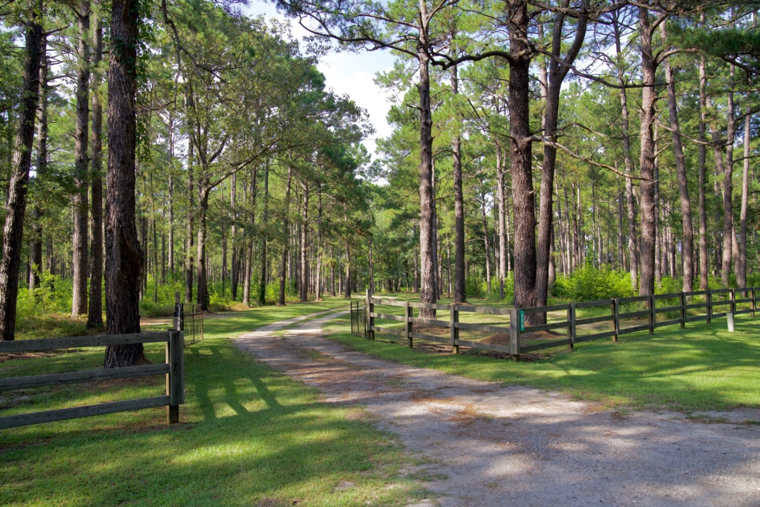 Land for Sale in Jasper County, SC (6 of 74)