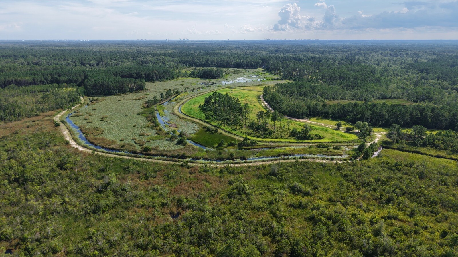 Land for Sale in Jasper County, SC (11 of 74)