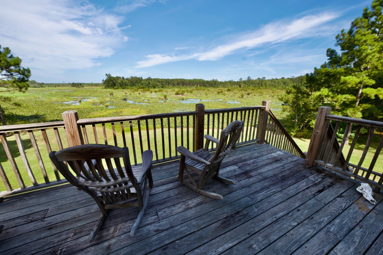 Land for Sale in Jasper County, SC (23 of 74)