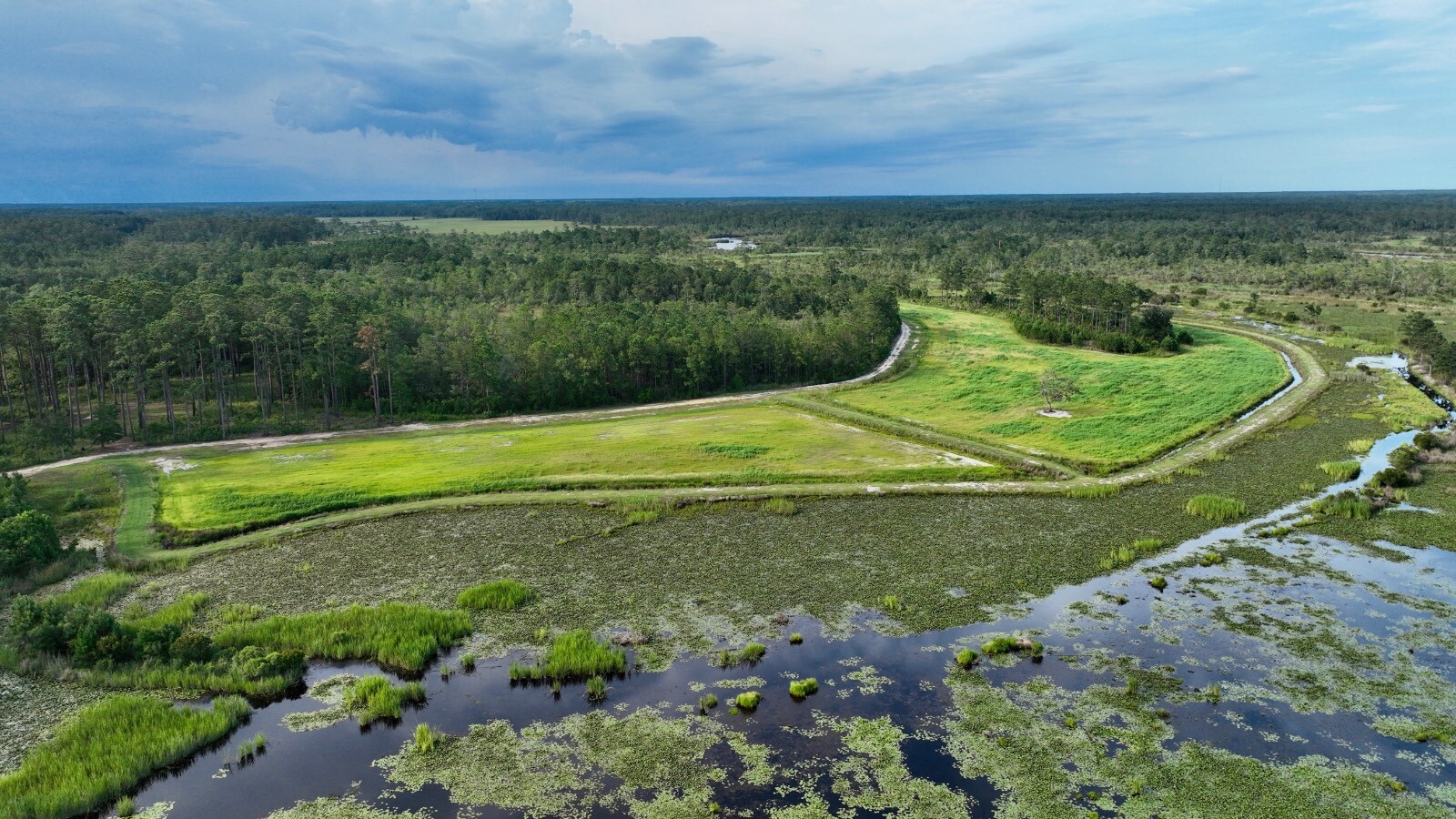 Land for Sale in Jasper County, SC (27 of 74)
