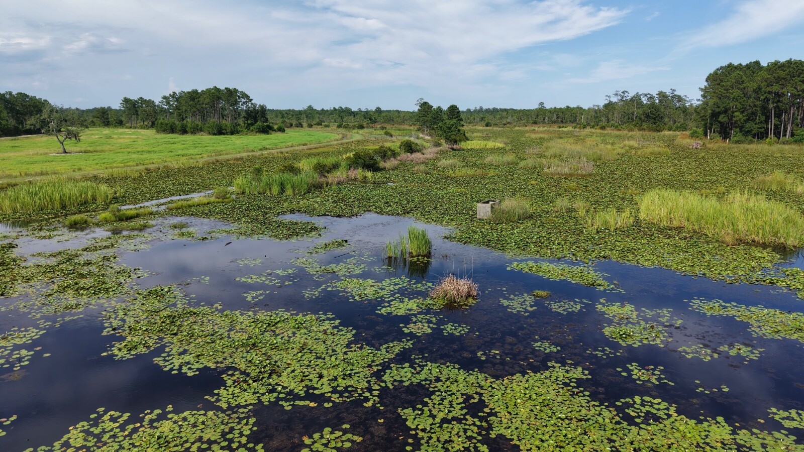 Land for Sale in Jasper County, SC (28 of 74)