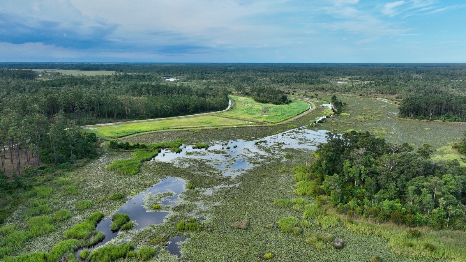 Land for Sale in Jasper County, SC (29 of 74)