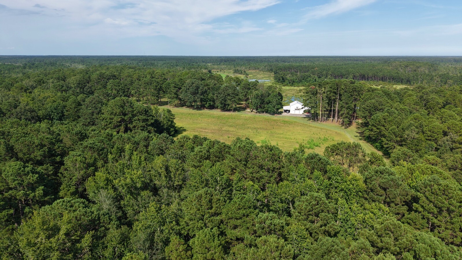 Land for Sale in Jasper County, SC (30 of 74)