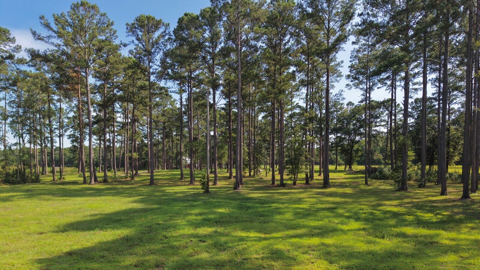 Land for Sale in Jasper County, SC (34 of 74)