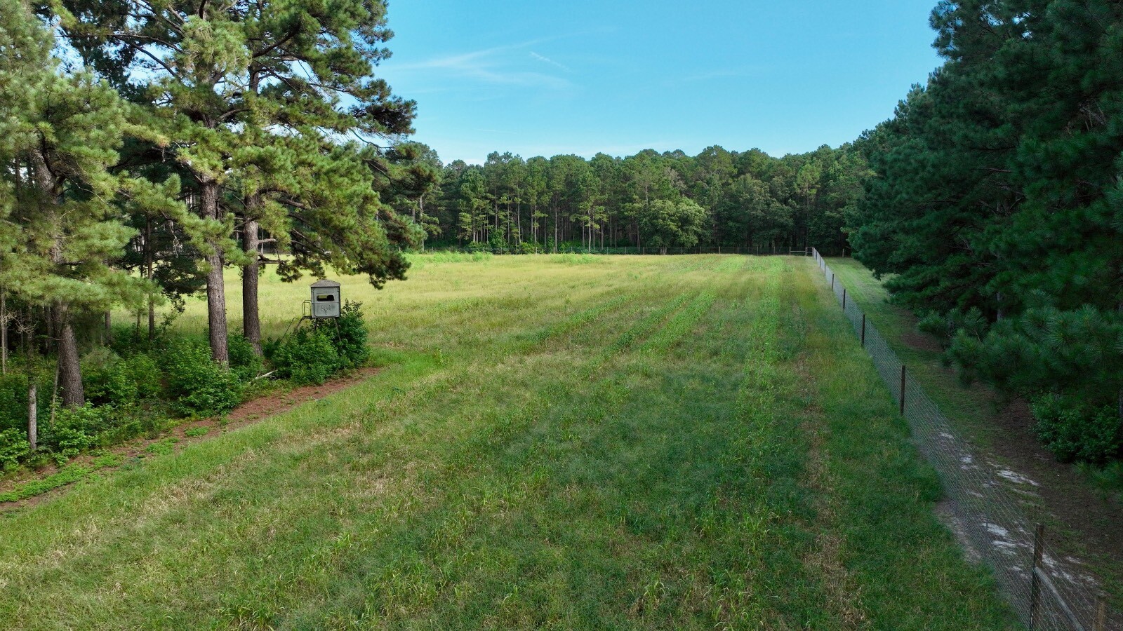 Land for Sale in Jasper County, SC (36 of 74)