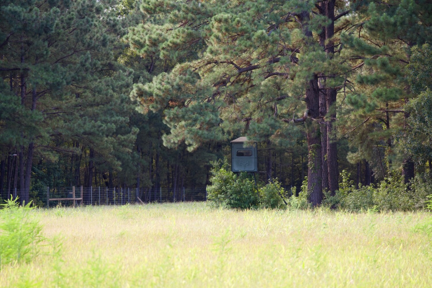 Land for Sale in Jasper County, SC (37 of 74)