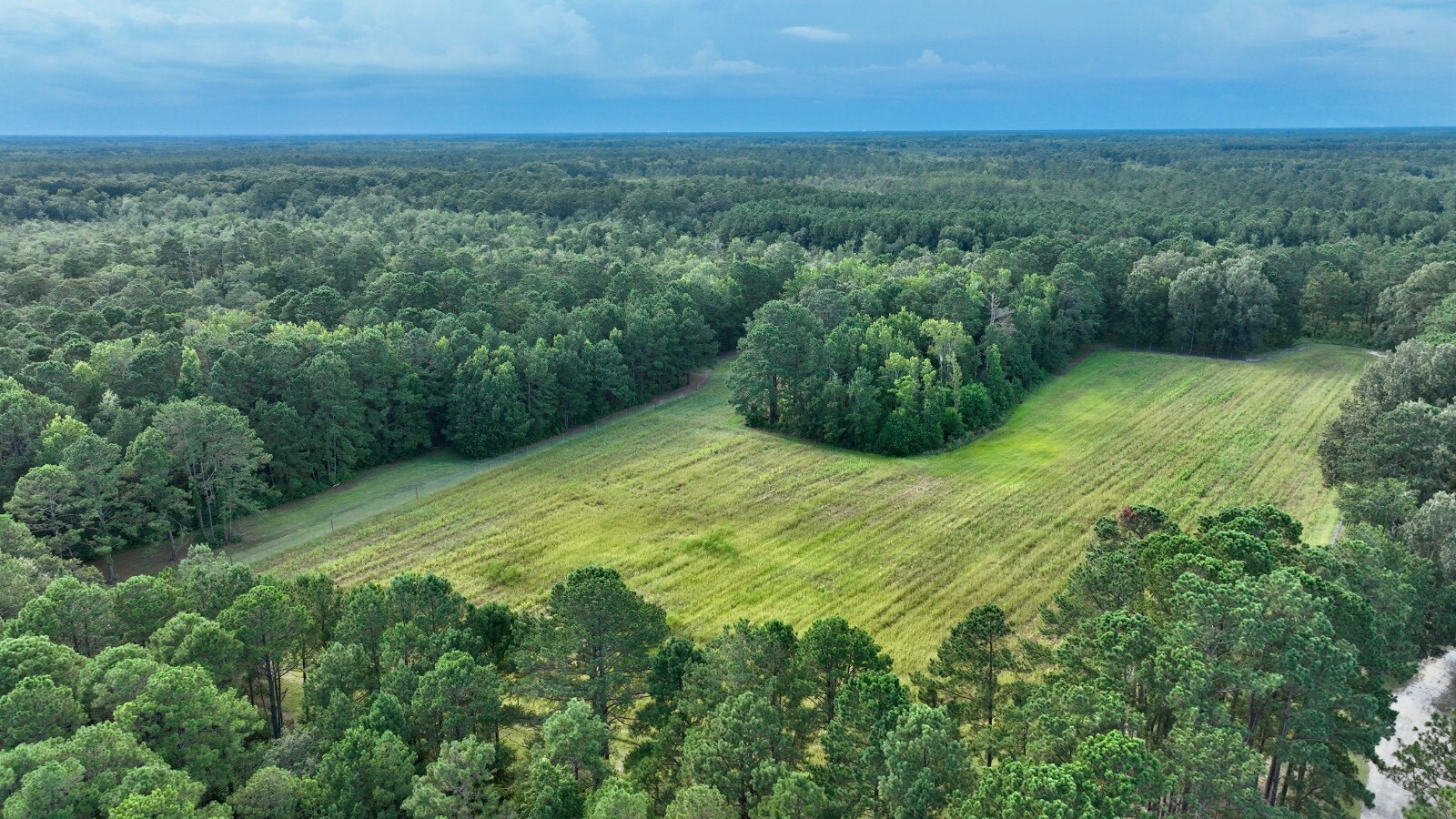 Land for Sale in Jasper County, SC (39 of 74)