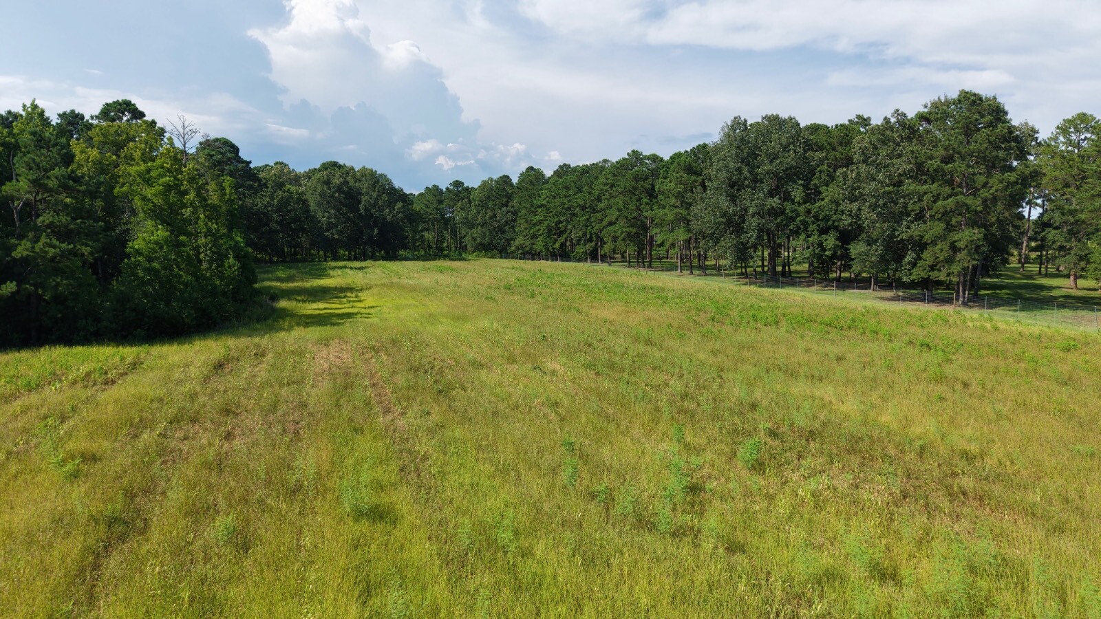 Land for Sale in Jasper County, SC (41 of 74)