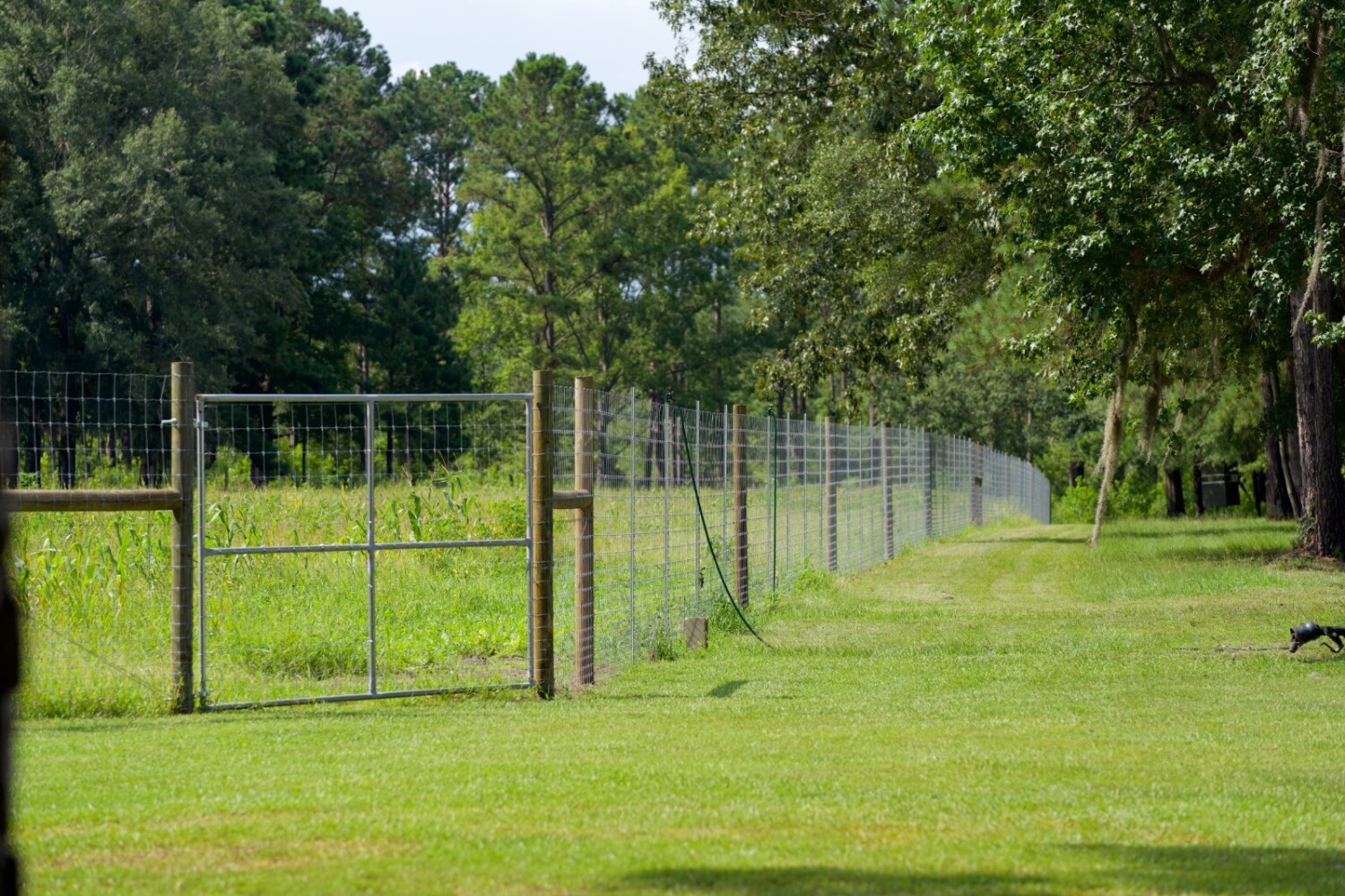 Land for Sale in Jasper County, SC (45 of 74)