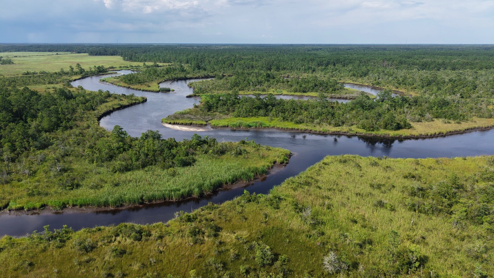 Land for Sale in Jasper County, SC (49 of 74)
